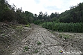 VBS_5431 - C'è un mare di velluto verde! E tu che sognavi di andare lontano... Quanta meraviglia, quì!